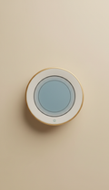 Thermostat intelligent au design minimaliste